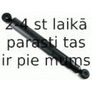 Amortizators SACHS 313 885