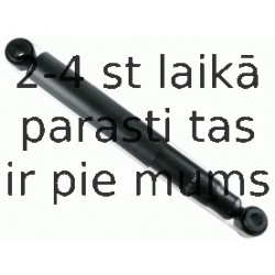 Amortizators SACHS 313 885