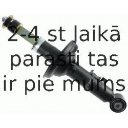 Amortizators SACHS 313 835