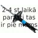 Amortizators SACHS 313 806