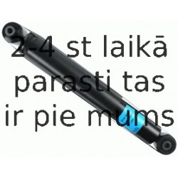 Amortizators SACHS 313 803