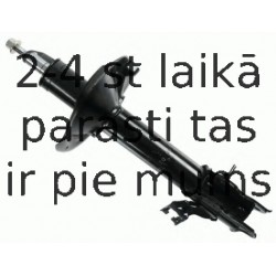 Amortizators SACHS 313 634