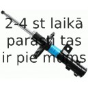 Amortizators SACHS 313 532