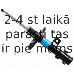 Amortizators SACHS 313 532