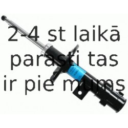 Amortizators SACHS 313 531