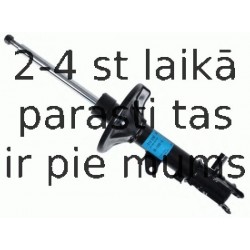 Amortizators SACHS 313 530