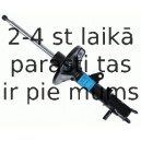 Amortizators SACHS 313 529