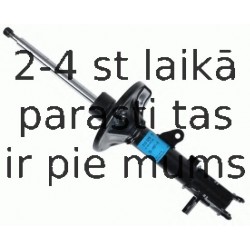 Amortizators SACHS 313 529