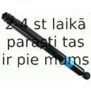 Amortizators SACHS 313 526