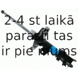 Amortizators SACHS 313 518