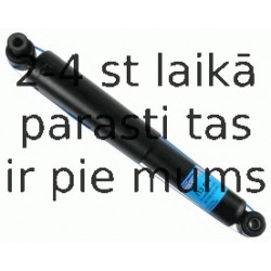 Amortizators SACHS 313 504