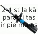 Amortizators SACHS 313 315