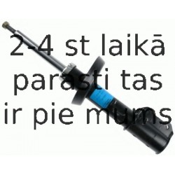 Amortizators SACHS 313 315