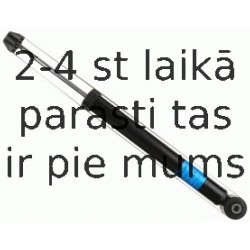 Amortizators SACHS 313 198