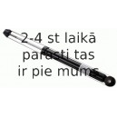 Amortizators SACHS 313 192