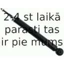 Amortizators SACHS 312 975