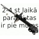 Amortizators SACHS 312 870