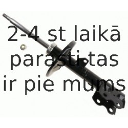 Amortizators SACHS 312 870