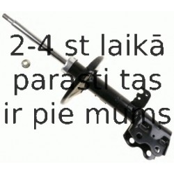 Amortizators SACHS 312 869