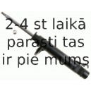 Amortizators SACHS 312 867