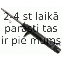 Amortizators SACHS 312 867