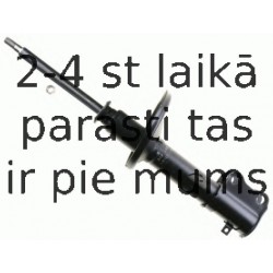 Amortizators SACHS 312 860