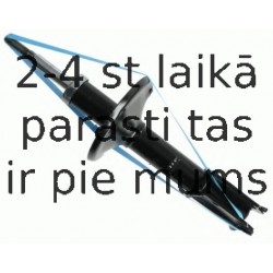 Amortizators SACHS 312 827