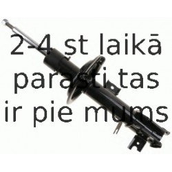 Amortizators SACHS 312 819