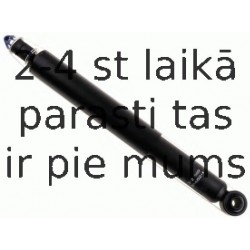 Amortizators SACHS 312 589