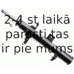 Amortizators SACHS 312 587