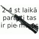 Amortizators SACHS 312 233