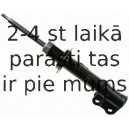 Amortizators SACHS 312 232