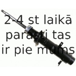 Amortizators SACHS 312 231