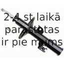 Amortizators SACHS 312 216