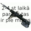 Amortizators SACHS 312 166