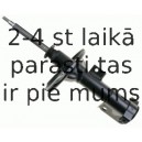 Amortizators SACHS 312 165