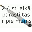 Amortizators SACHS 311 952