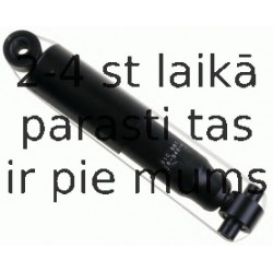 Amortizators SACHS 310 881