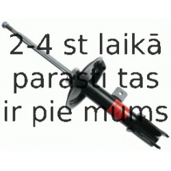 Amortizators SACHS 290 961