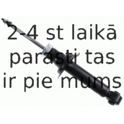 Amortizators SACHS 230 463