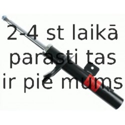 Amortizators SACHS 200 463