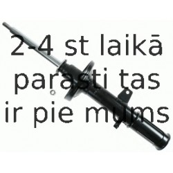 SACHS 170 274