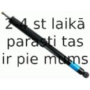 SACHS 105 851