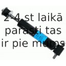 SACHS 101 637