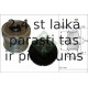 INA 535 0183 10