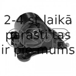 GSP 514378