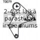 Parazīt-/Vadrullītis, Zobsiksna SKF VKM 23213