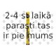 Stikla tīrītāja slotiņa SWF 116136
