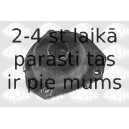 SASIC 0385195