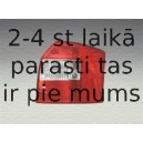 Aizmugurējais lukturis MAGNETI MARELLI 714028370701